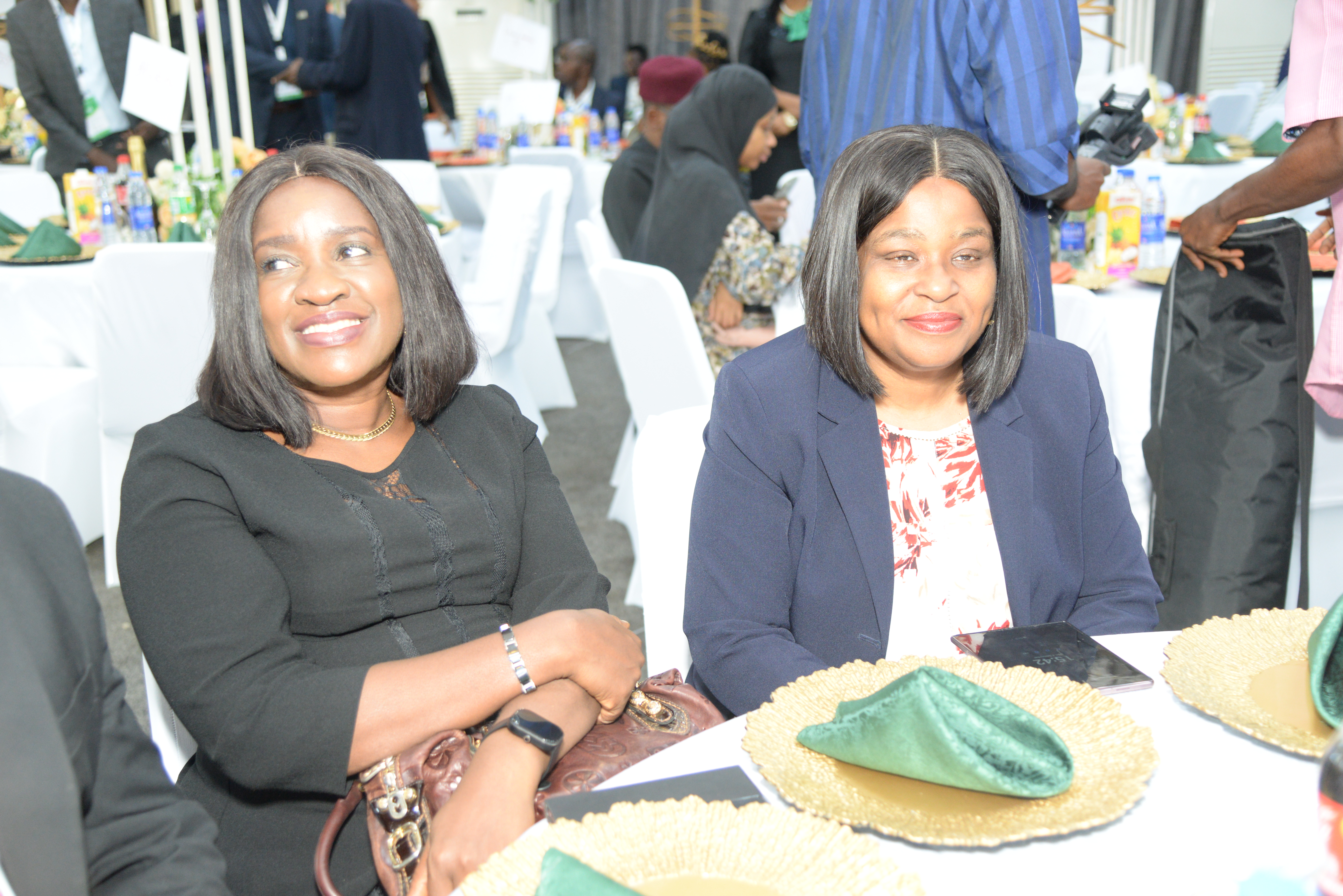 MD Receives Fellowship Award at Nigerian Economic Society (NES) 66th Annual Conference